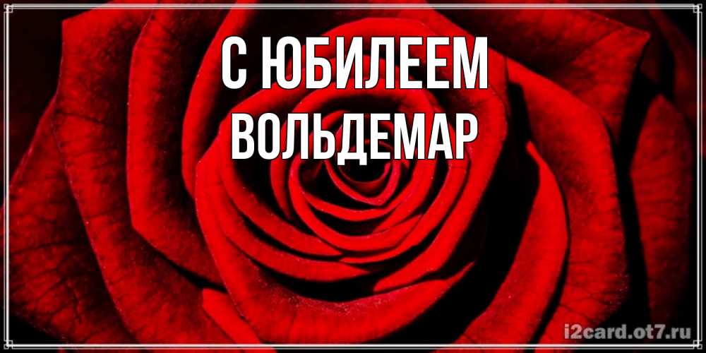 Открытка на каждый день с именем, Вольдемар С юбилеем алая роза Прикольная открытка с пожеланием онлайн скачать бесплатно 