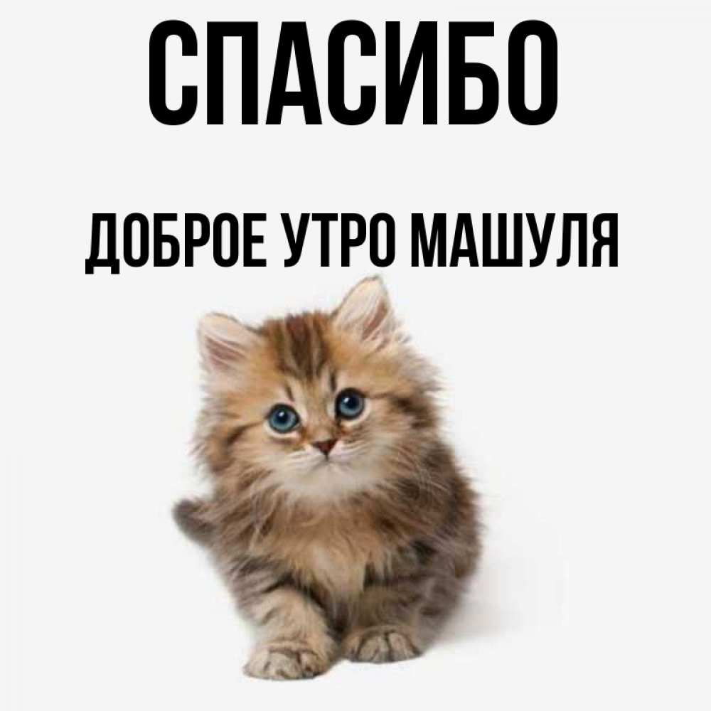 Открытка с именем, Доброе утро Машуля, Спасибо