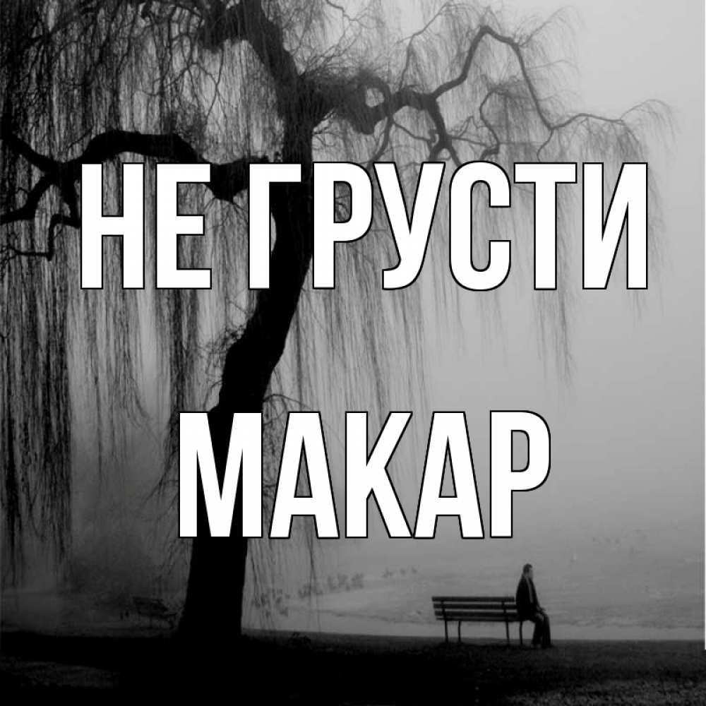 Открытка на каждый день с именем, Макар Не грусти висящие ветки дерева и лавочка под деревом Прикольная открытка с пожеланием онлайн скачать бесплатно 