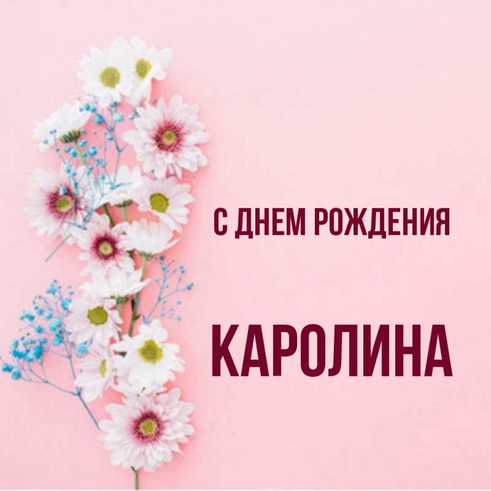 С днем рождения каролина картинки