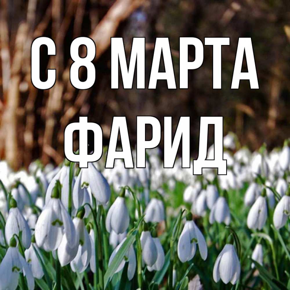 Открытка на каждый день с именем, Фарид С 8 МАРТА с подснежниками 1 Прикольная открытка с пожеланием онлайн скачать бесплатно 