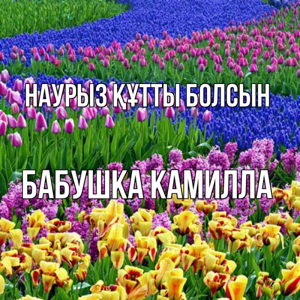 Открытка на каждый день с именем, Бабушка-Камилла Наурыз құтты болсын цветы Прикольная открытка с пожеланием онлайн скачать бесплатно 
