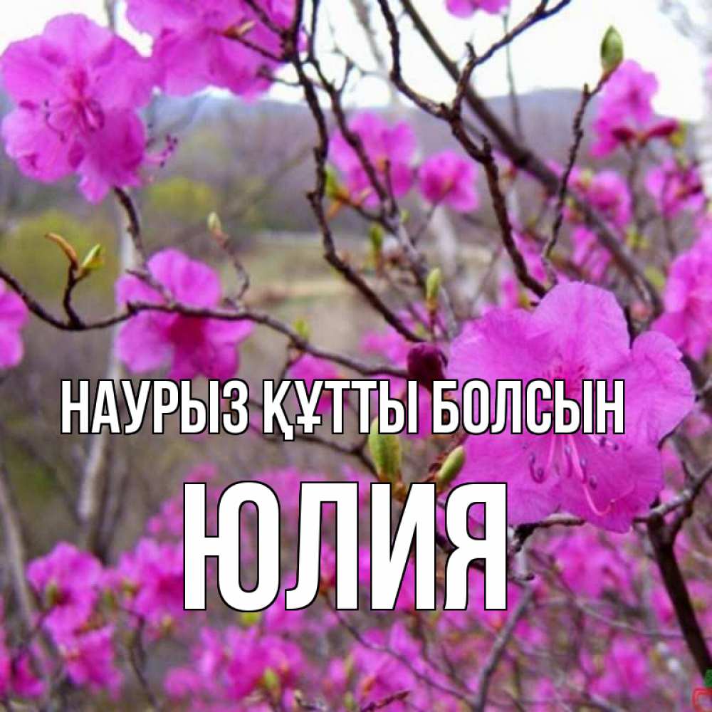 Открытка на каждый день с именем, Юлия Наурыз құтты болсын наурыз мейрамы кутты болсын Прикольная открытка с пожеланием онлайн скачать бесплатно 