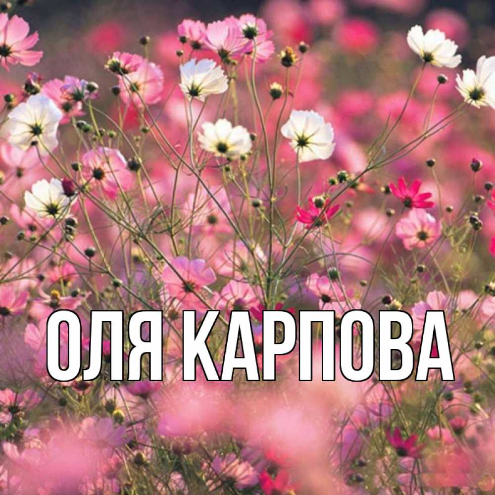 Хорошего дня оленька картинки