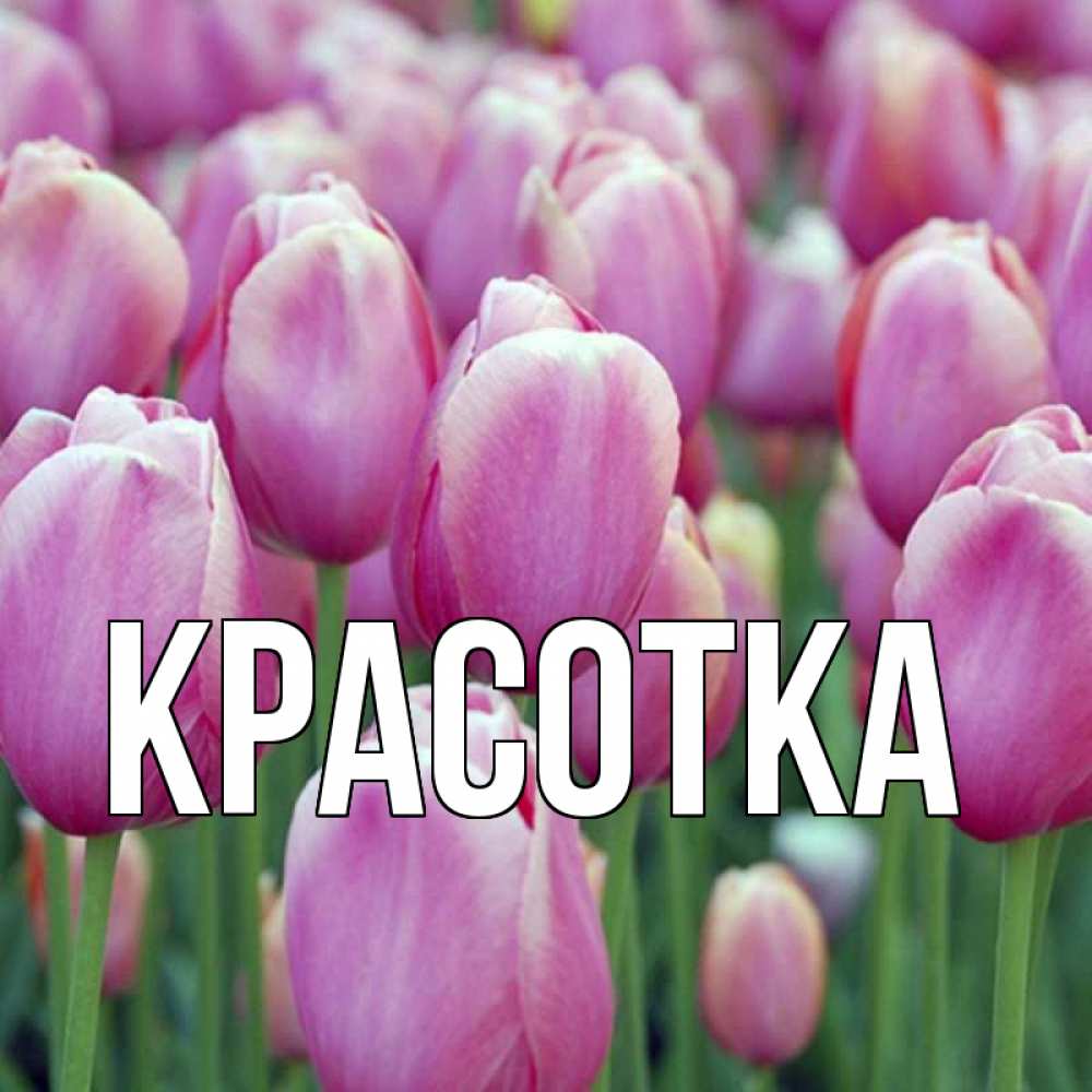 Открытка на каждый день с именем, красотка Главная на наурыз  день 3 Прикольная открытка с пожеланием онлайн скачать бесплатно 