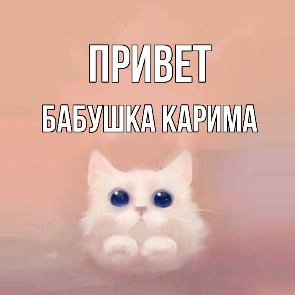 Открытка на каждый день с именем, Бабушка-Карима Привет котик белый в полете Прикольная открытка с пожеланием онлайн скачать бесплатно 