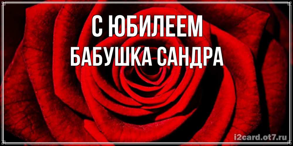 Открытка на каждый день с именем, Бабушка-Сандра С юбилеем алая роза Прикольная открытка с пожеланием онлайн скачать бесплатно 
