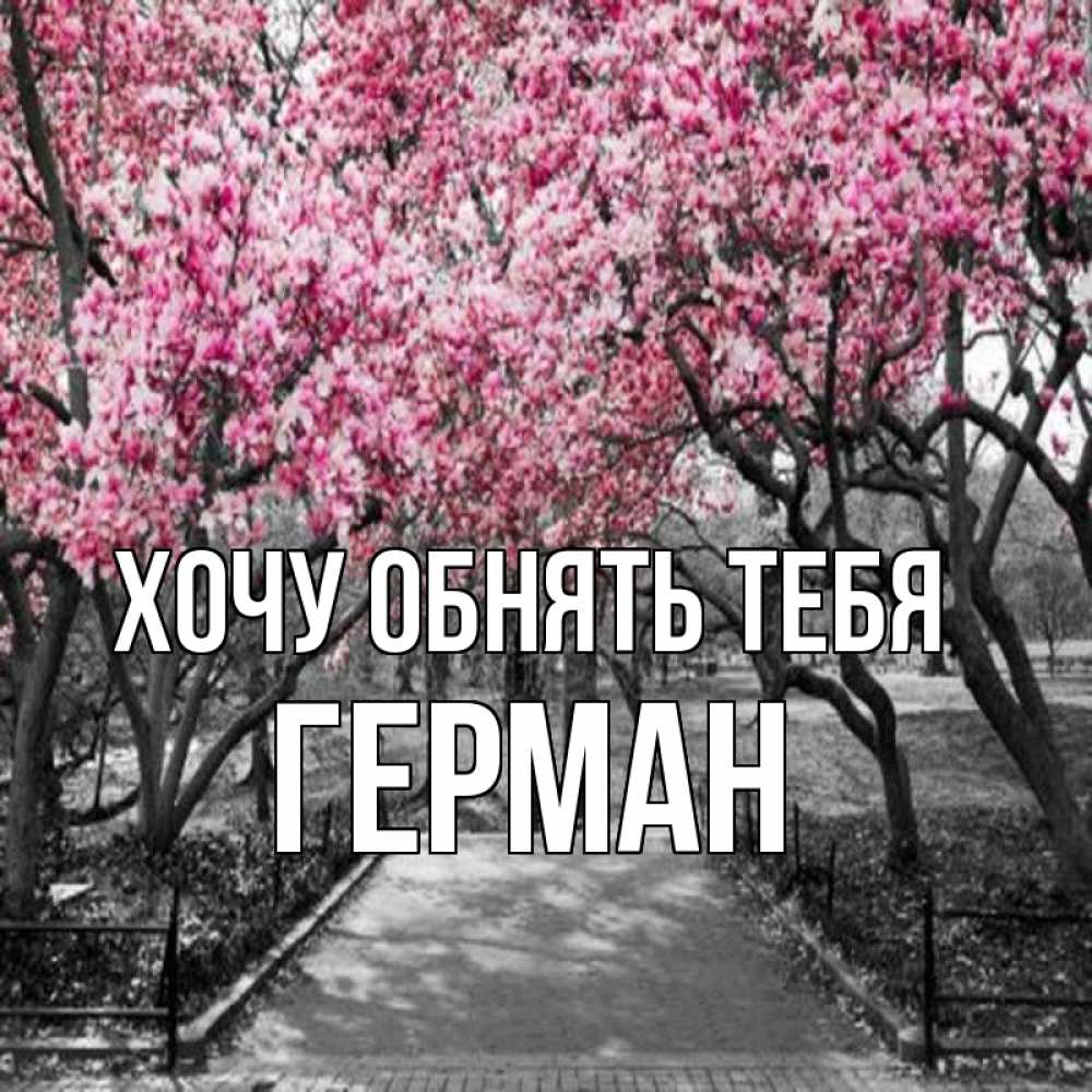 Открытка на каждый день с именем, Герман Хочу обнять тебя обработанное фото Прикольная открытка с пожеланием онлайн скачать бесплатно 