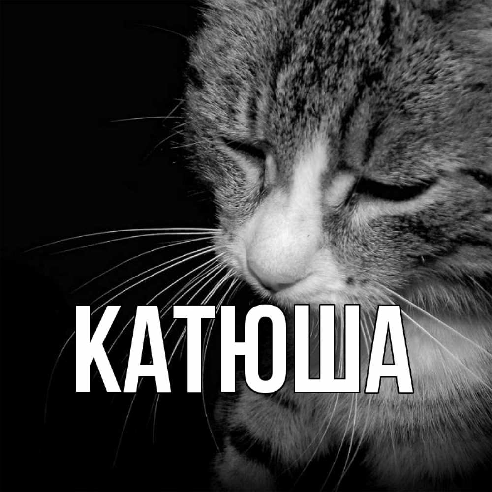 Открытка на каждый день с именем, Катюша Главная мне скучно Прикольная открытка с пожеланием онлайн скачать бесплатно 