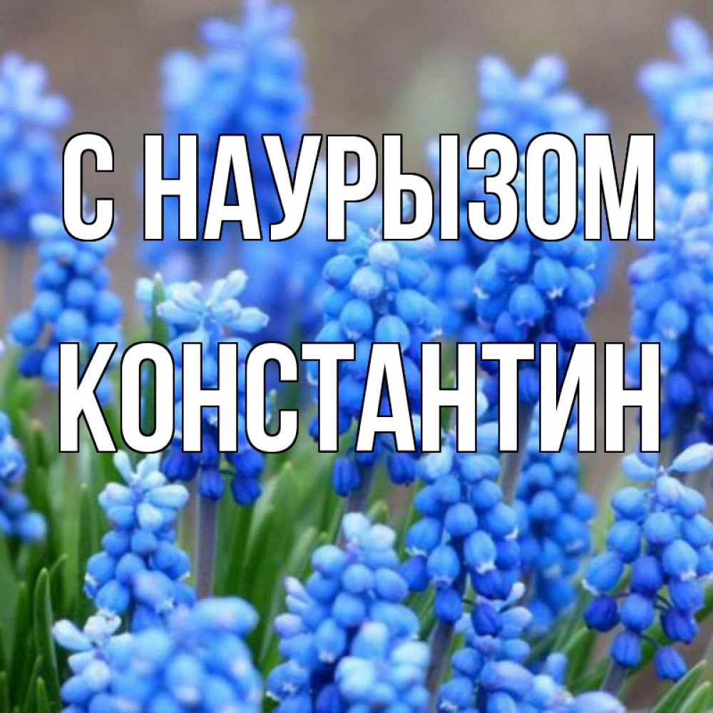 Открытка на каждый день с именем, Константин С наурызом Поздравительная открытка для женщин с цветами на праздничную дату Прикольная открытка с пожеланием онлайн скачать бесплатно 