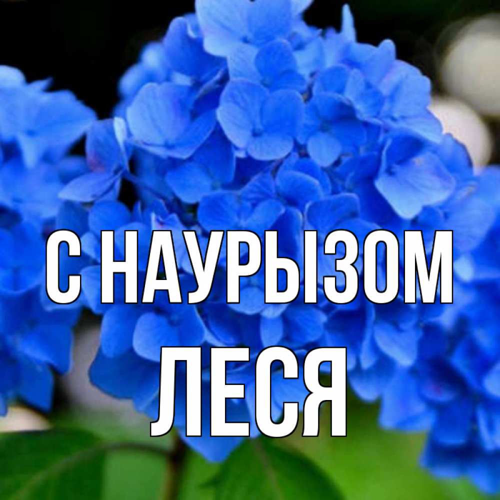 Открытка на каждый день с именем, Леся С наурызом синие цветы Прикольная открытка с пожеланием онлайн скачать бесплатно 