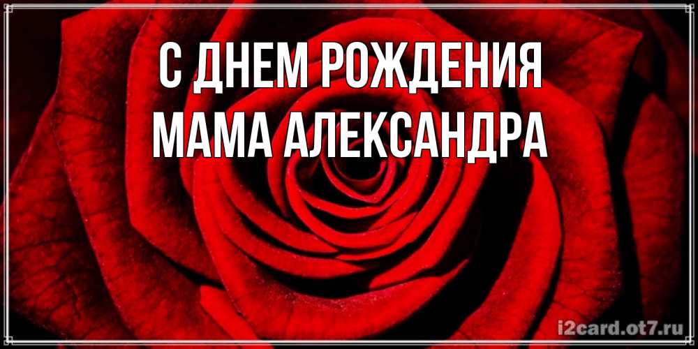Открытка на каждый день с именем, Мама-Александра С днем рождения алая роза Прикольная открытка с пожеланием онлайн скачать бесплатно 