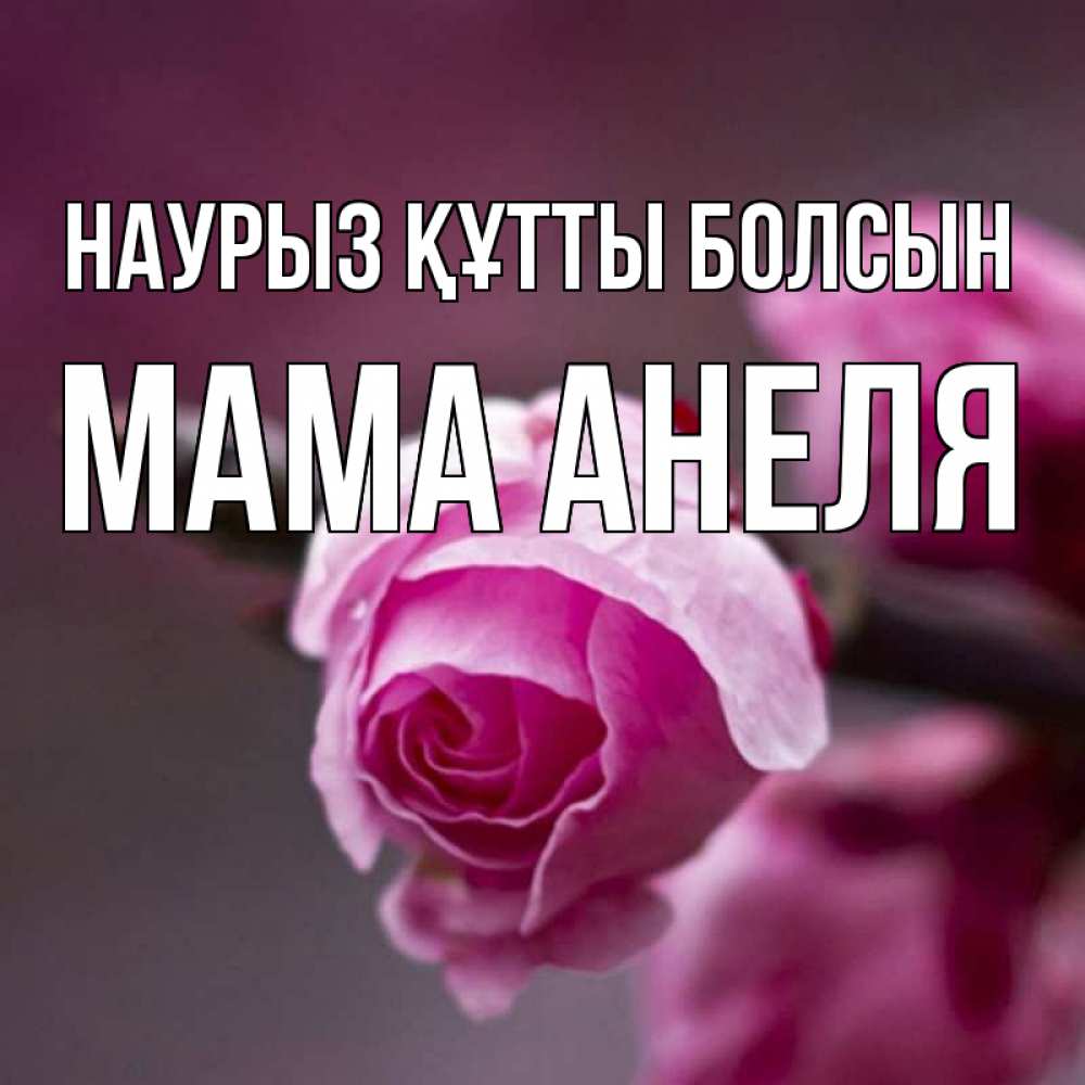 Открытка на каждый день с именем, Мама-Анеля Наурыз құтты болсын весна Прикольная открытка с пожеланием онлайн скачать бесплатно 