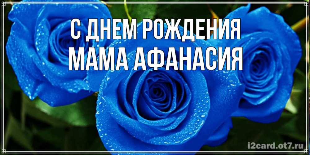 Открытка на каждый день с именем, Мама-Афанасия С днем рождения розы с синим цветом Прикольная открытка с пожеланием онлайн скачать бесплатно 
