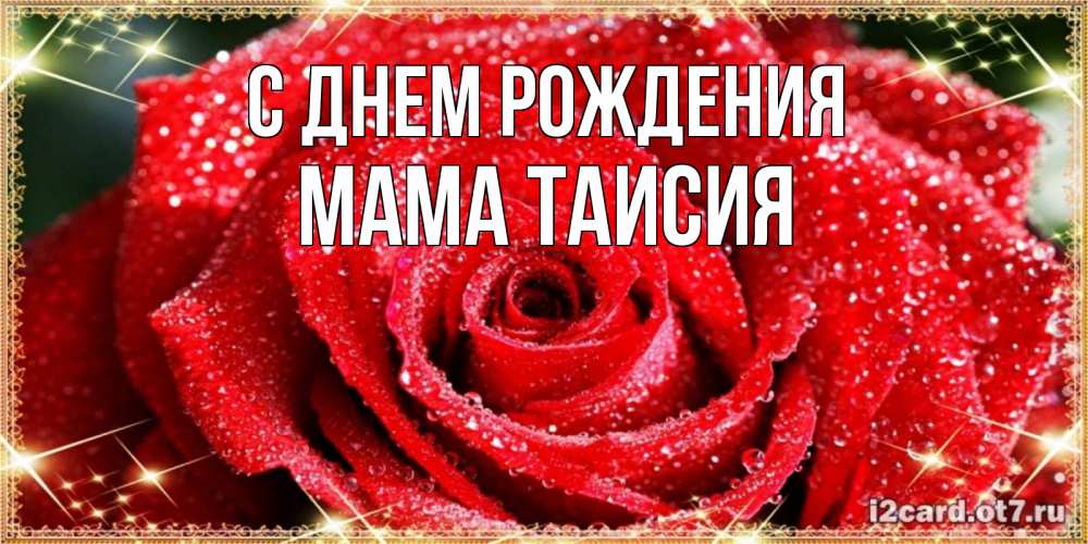 Открытка на каждый день с именем, Мама-Таисия С днем рождения роса и роза. открытка с красивой розой Прикольная открытка с пожеланием онлайн скачать бесплатно 