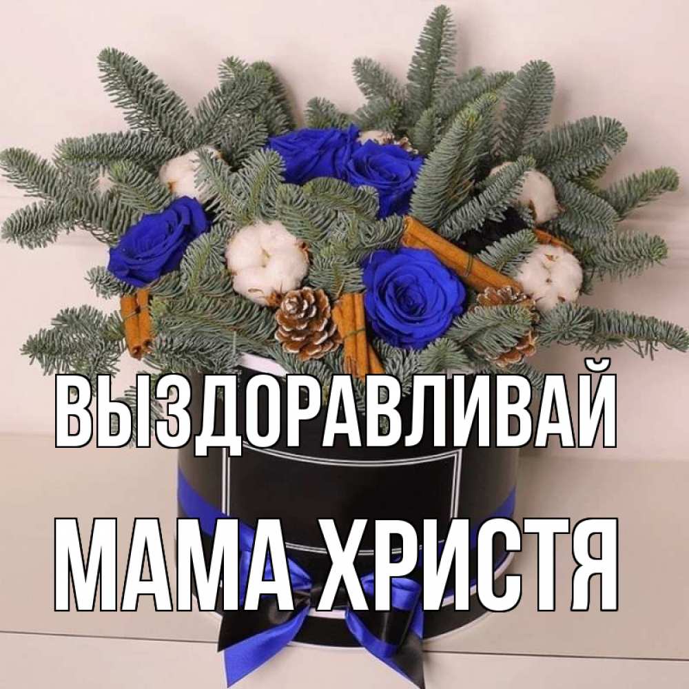 Открытка на каждый день с именем, Мама-Христя Выздоравливай короче кто то загрузил эти шишки Прикольная открытка с пожеланием онлайн скачать бесплатно 