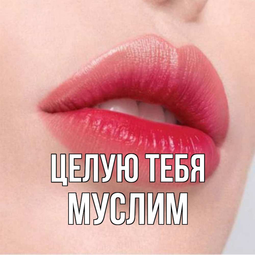 Открытка на каждый день с именем, Муслим Целую тебя губы зубки и нежная кожа Прикольная открытка с пожеланием онлайн скачать бесплатно 