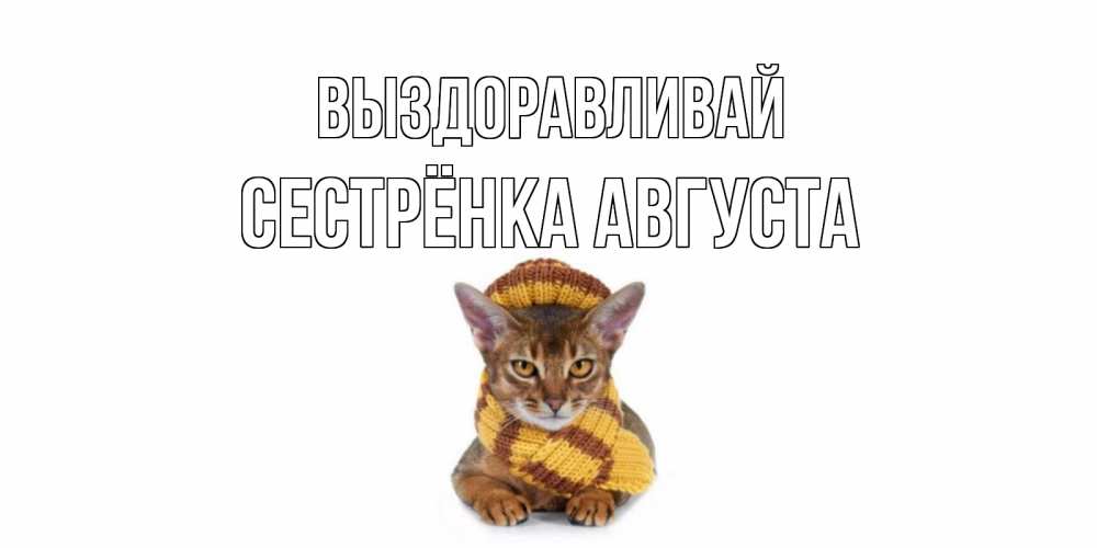 Открытка на каждый день с именем, Сестрёнка-Августа Выздоравливай родные не болейте Прикольная открытка с пожеланием онлайн скачать бесплатно 