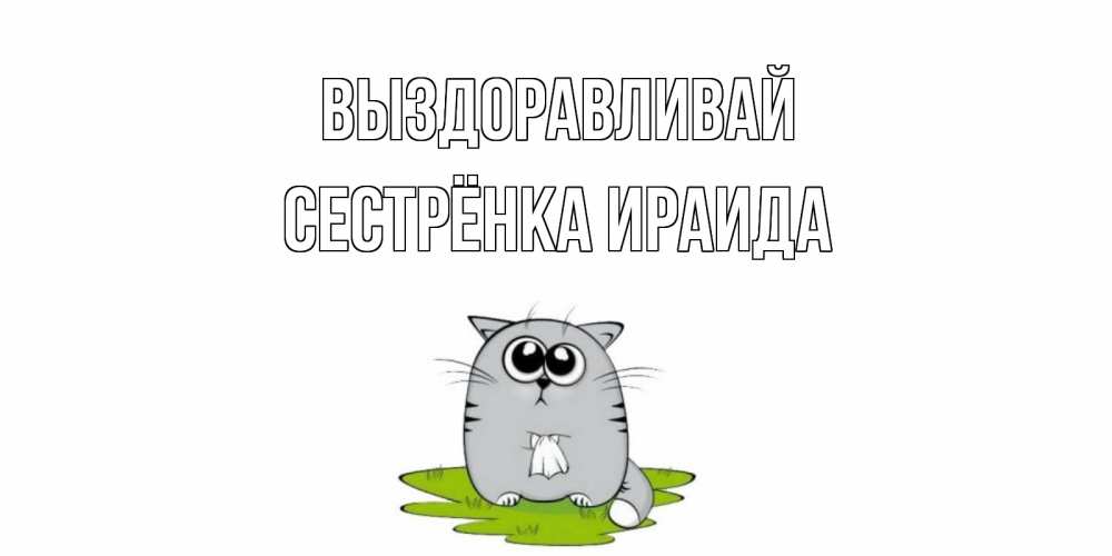 Открытка на каждый день с именем, Сестрёнка-Ираида Выздоравливай кот и открытки про выздоровление Прикольная открытка с пожеланием онлайн скачать бесплатно 