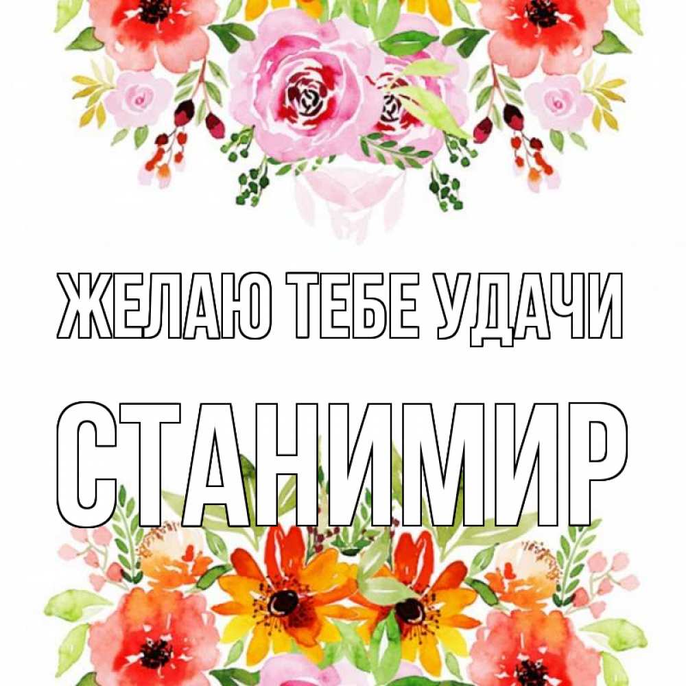 Открытка на каждый день с именем, Станимир Желаю тебе удачи открытка с цветами акварелью Прикольная открытка с пожеланием онлайн скачать бесплатно 