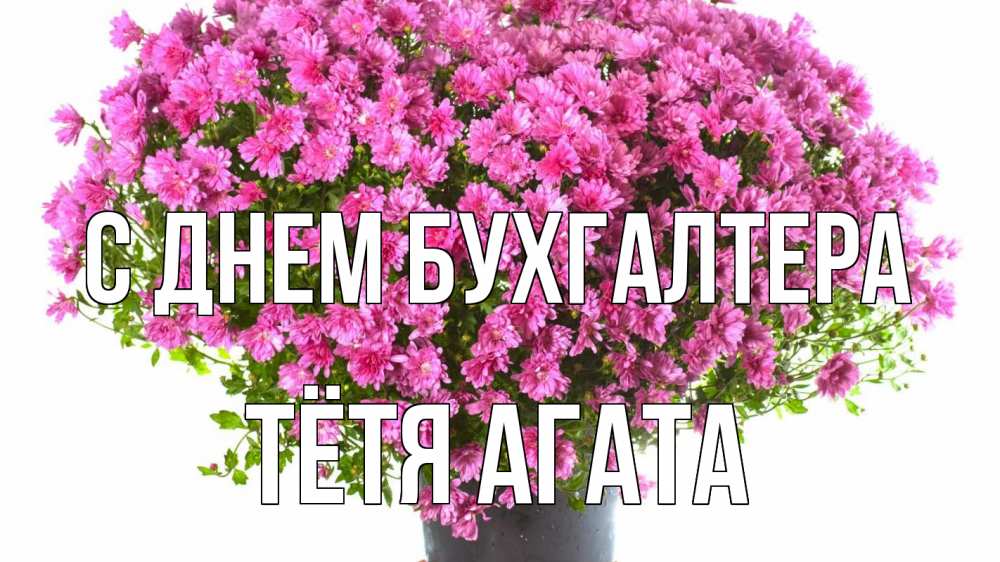 Открытка на каждый день с именем, Тётя-Агата С днем бухгалтера с днем бухгалтера Прикольная открытка с пожеланием онлайн скачать бесплатно 