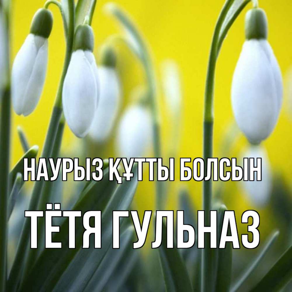 Открытка на каждый день с именем, Тётя-Гульназ Наурыз құтты болсын весенние цветы Прикольная открытка с пожеланием онлайн скачать бесплатно 