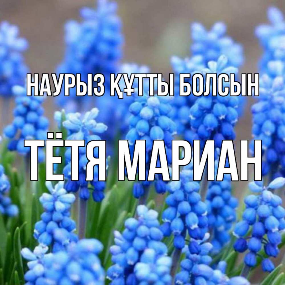 Картинка Наурыз құтты болсын, Тётя Мариан
