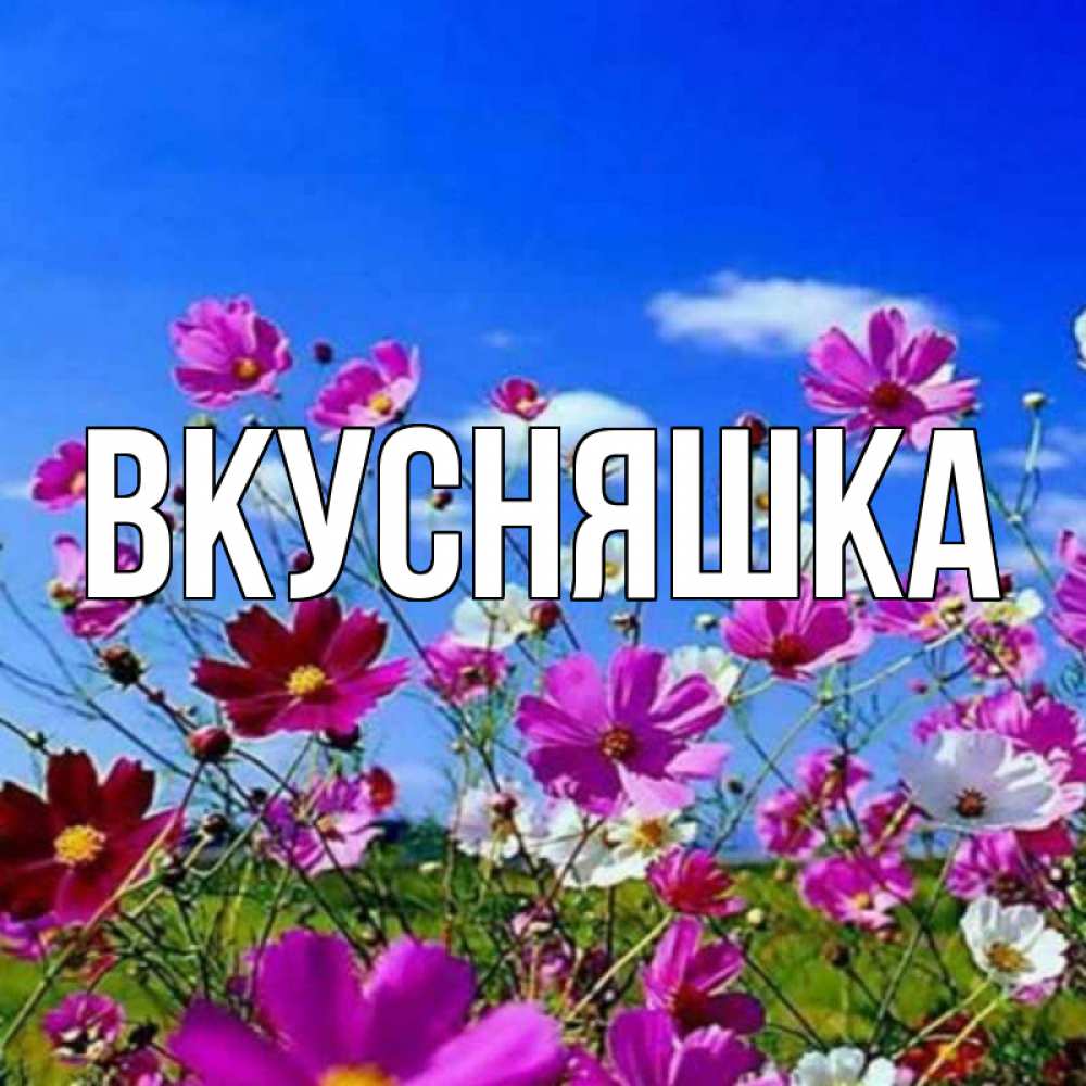 Открытка на каждый день с именем, Вкусняшка Главная цветы Прикольная открытка с пожеланием онлайн скачать бесплатно 