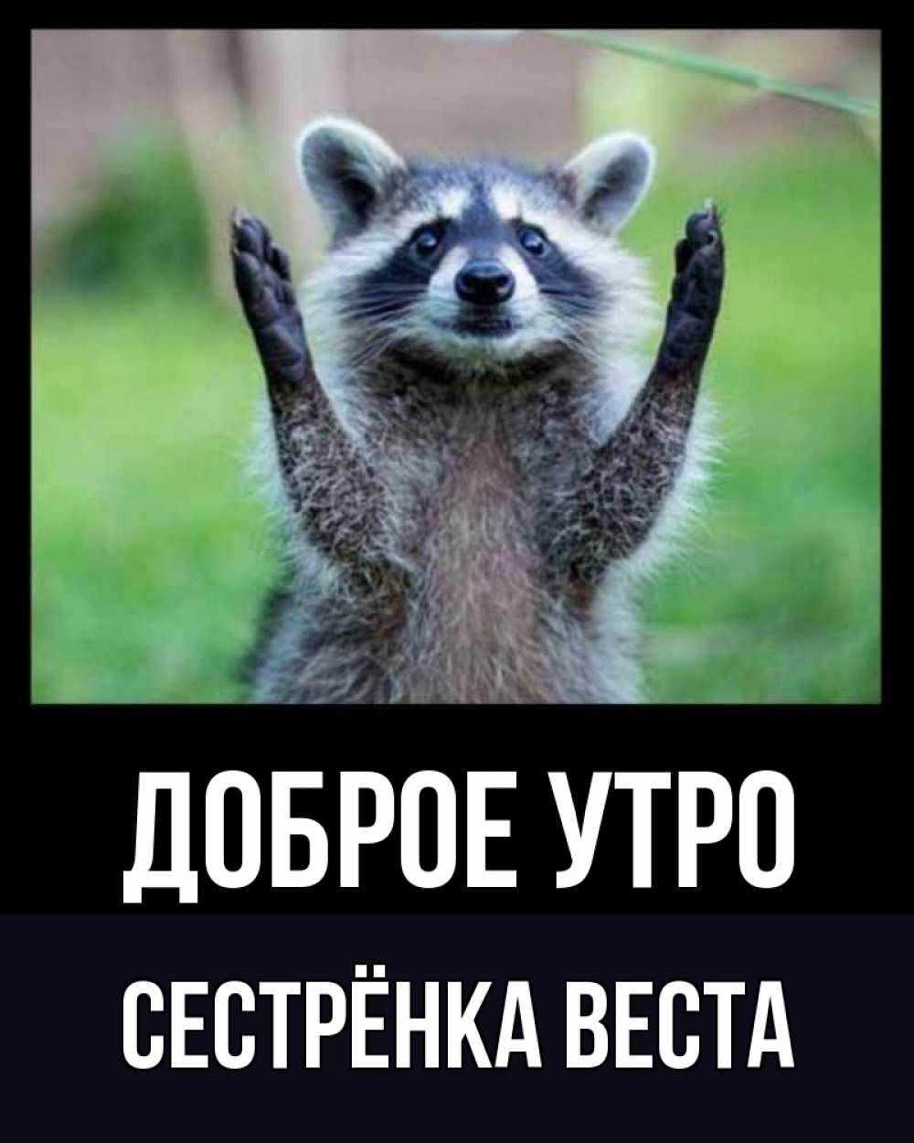 Открытка на каждый день с именем, Сестрёнка-Веста Доброе утро хорошее настроение утречком Прикольная открытка с пожеланием онлайн скачать бесплатно 