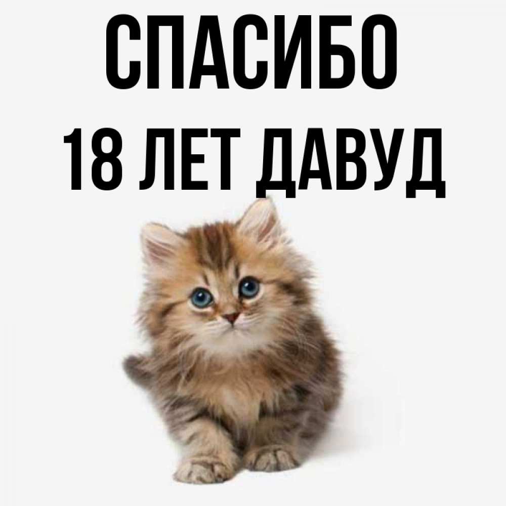 Имена 18