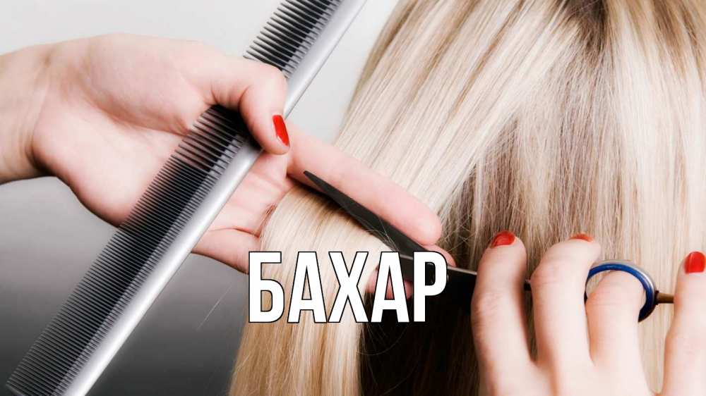 Открытка на каждый день с именем, Бахар Главная с днем парикмахера расческа прическа стрижка Прикольная открытка с пожеланием онлайн скачать бесплатно 