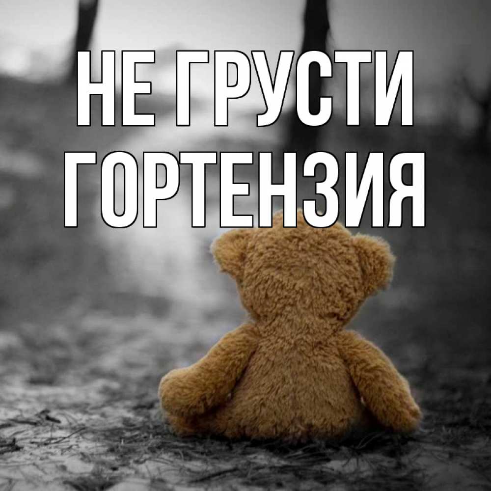 Открытка на каждый день с именем, Гортензия Не грусти медведь со спин Прикольная открытка с пожеланием онлайн скачать бесплатно 