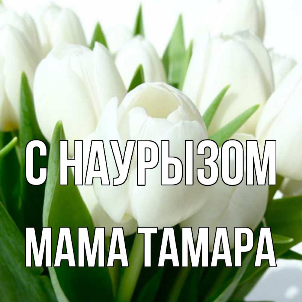 Открытка на каждый день с именем, Мама-Тамара С наурызом цветы Прикольная открытка с пожеланием онлайн скачать бесплатно 