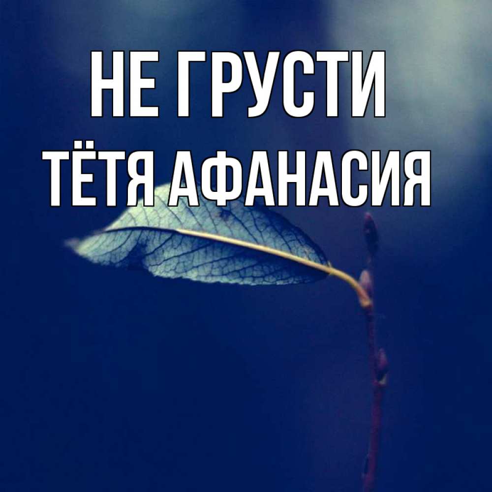 Открытка на каждый день с именем, Тётя-Афанасия Не грусти растение Прикольная открытка с пожеланием онлайн скачать бесплатно 