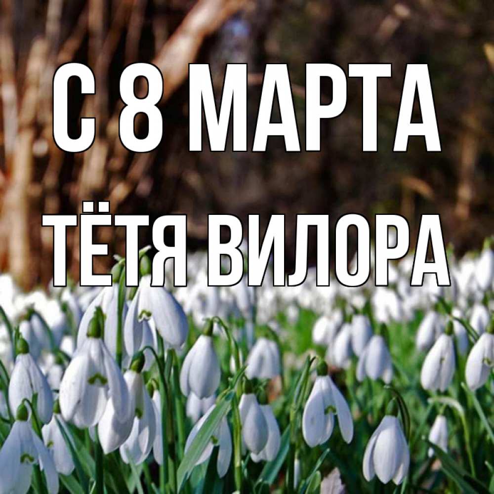 Открытка на каждый день с именем, Тётя-Вилора С 8 марта с подснежниками 1 Прикольная открытка с пожеланием онлайн скачать бесплатно 
