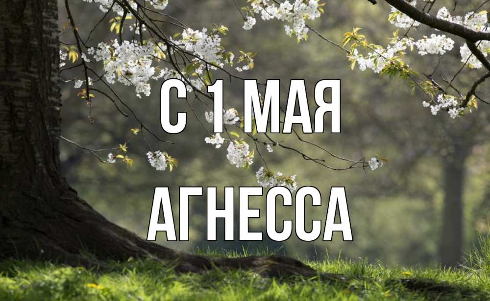 Открытка на каждый день с именем, Агнесса С 1 мая С 1 мая Прикольная открытка с пожеланием онлайн скачать бесплатно 