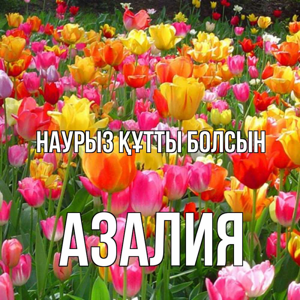 Открытка на каждый день с именем, Азалия Наурыз құтты болсын на наурыз  ура ура Прикольная открытка с пожеланием онлайн скачать бесплатно 