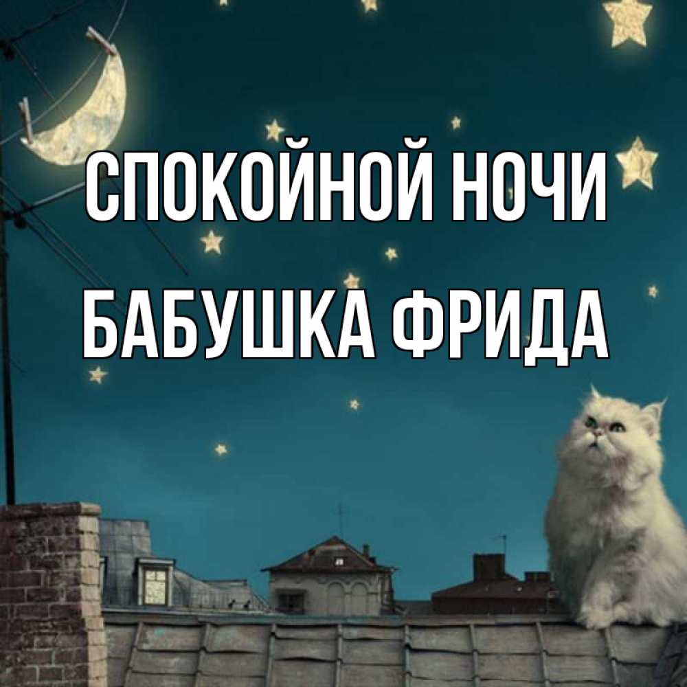 Открытка на каждый день с именем, Бабушка-Фрида Спокойной ночи белый кот сидит на крыше Прикольная открытка с пожеланием онлайн скачать бесплатно 