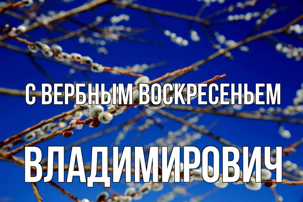 Открытка с именем, Владимирович, С вербным воскресеньем