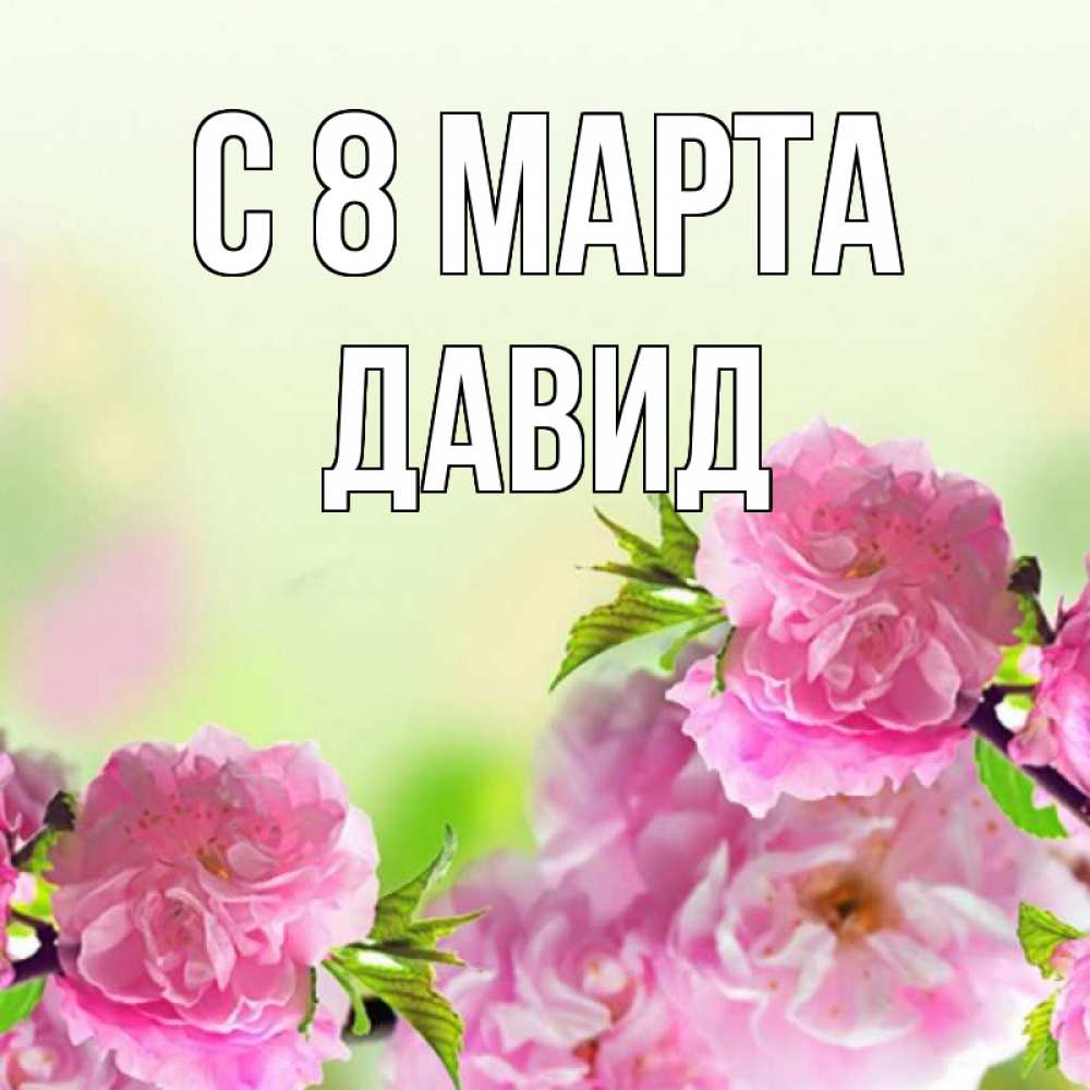 Открытка на каждый день с именем, Давид С 8 МАРТА цветы Прикольная открытка с пожеланием онлайн скачать бесплатно 