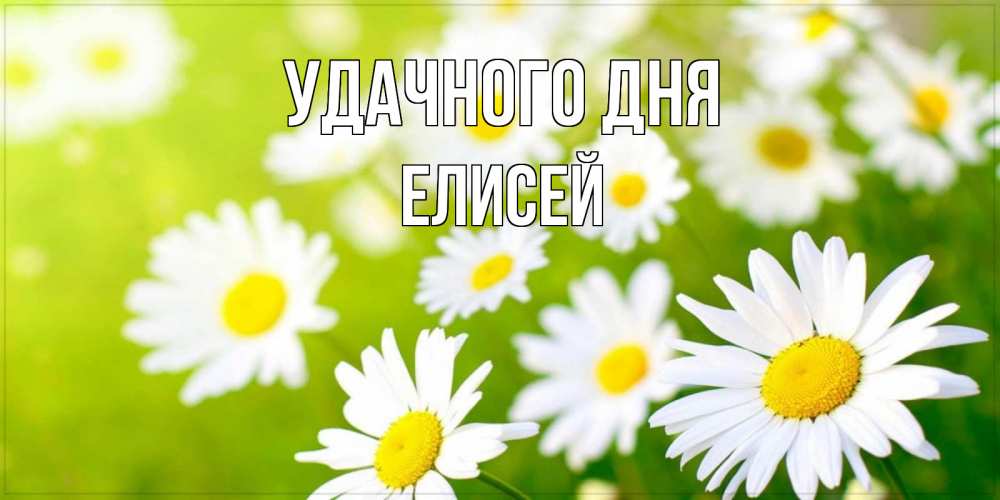Открытка на каждый день с именем, Елисей Удачного дня открытка с ромашками на зеленом фоне Прикольная открытка с пожеланием онлайн скачать бесплатно 