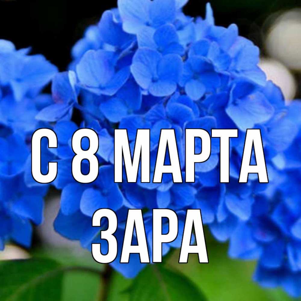 Открытка на каждый день с именем, Зара С 8 МАРТА синие цветы Прикольная открытка с пожеланием онлайн скачать бесплатно 