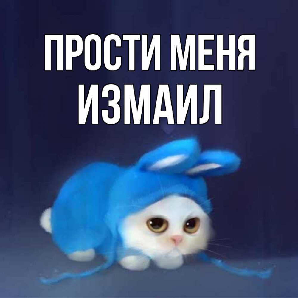 Открытка на каждый день с именем, Измаил Прости меня невинный котозай просит прощения Прикольная открытка с пожеланием онлайн скачать бесплатно 