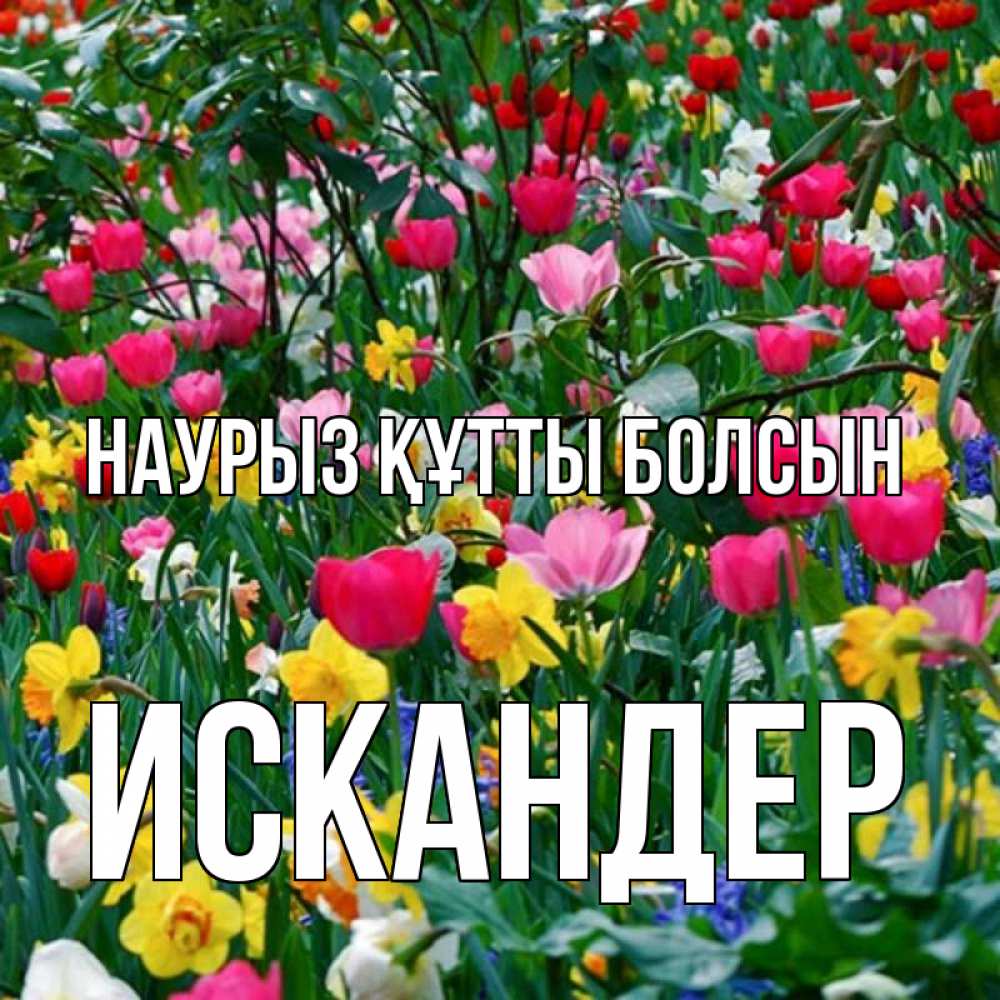 Открытка на каждый день с именем, Искандер Наурыз құтты болсын с наурызом поздравления для женщины Прикольная открытка с пожеланием онлайн скачать бесплатно 