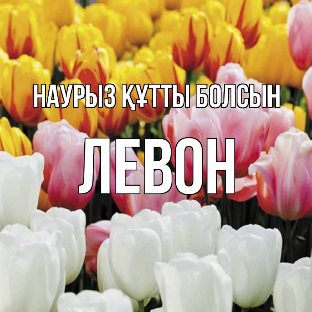 Открытка на каждый день с именем, Левон Наурыз құтты болсын разноцветные цветы Прикольная открытка с пожеланием онлайн скачать бесплатно 