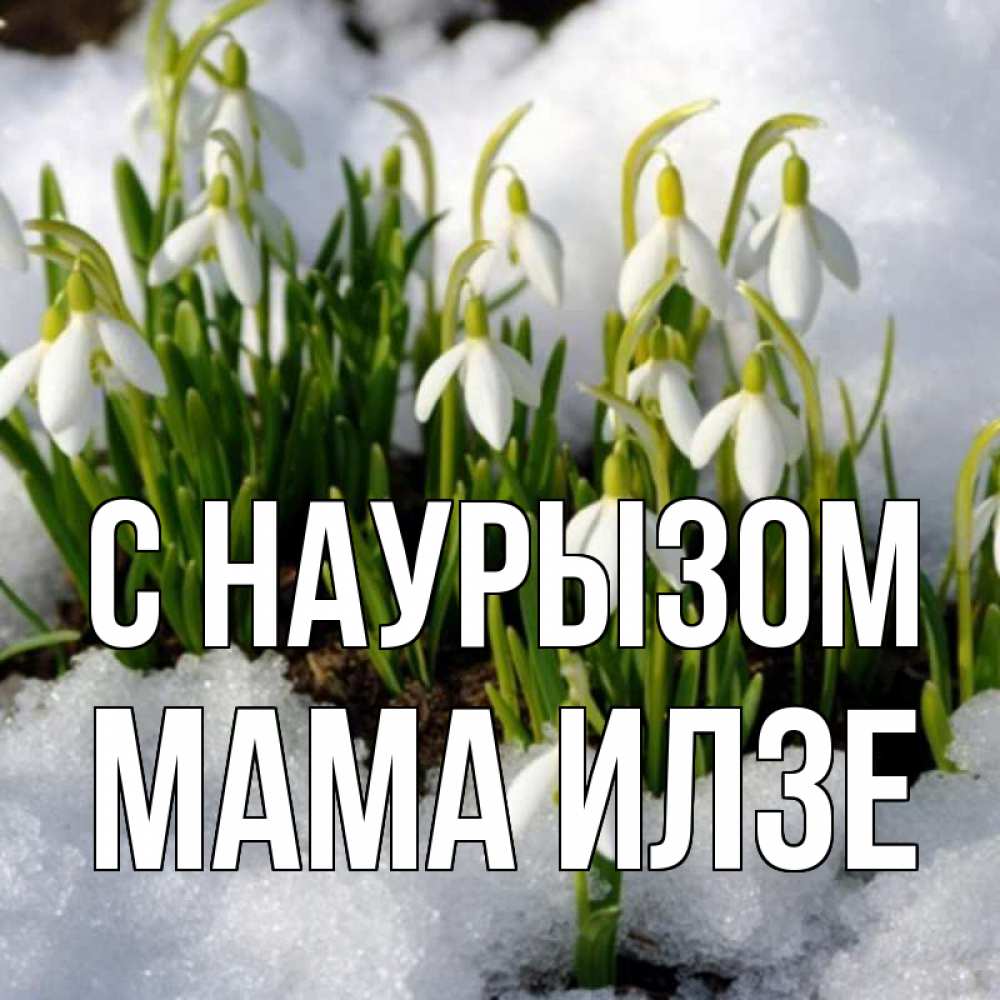 Открытка на каждый день с именем, Мама-Илзе С наурызом цветы весенние Прикольная открытка с пожеланием онлайн скачать бесплатно 