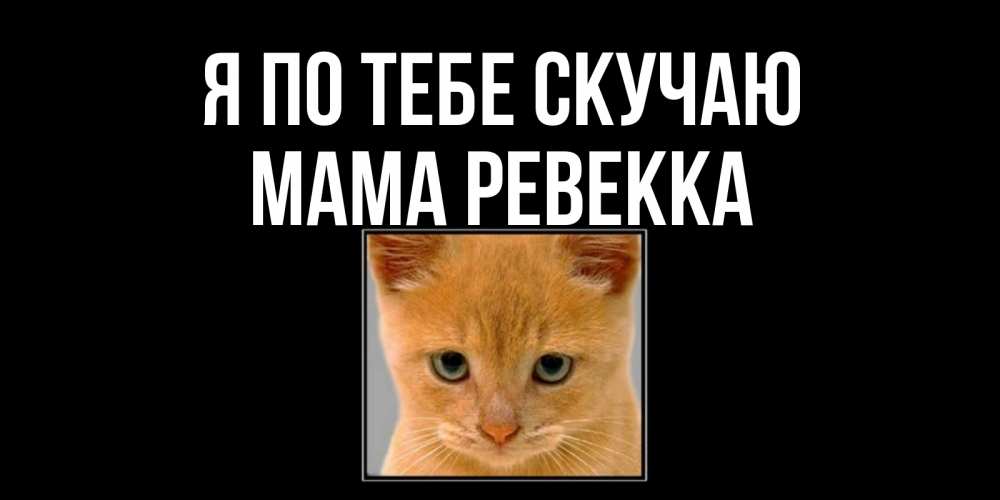 Открытка на каждый день с именем, Мама-Ревекка Я по тебе скучаю открытки рыжий котенок скучает по тебе Прикольная открытка с пожеланием онлайн скачать бесплатно 
