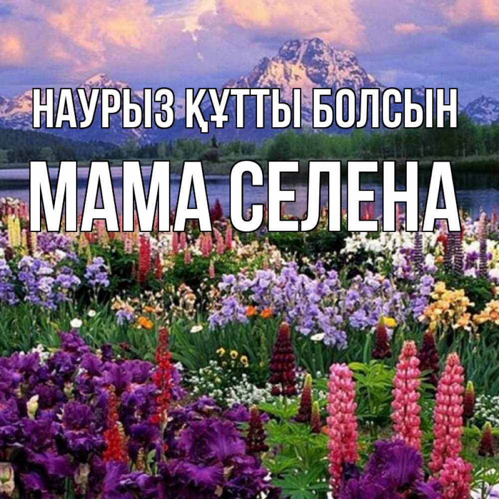 Открытка на каждый день с именем, Мама-Селена Наурыз құтты болсын наурыз Прикольная открытка с пожеланием онлайн скачать бесплатно 