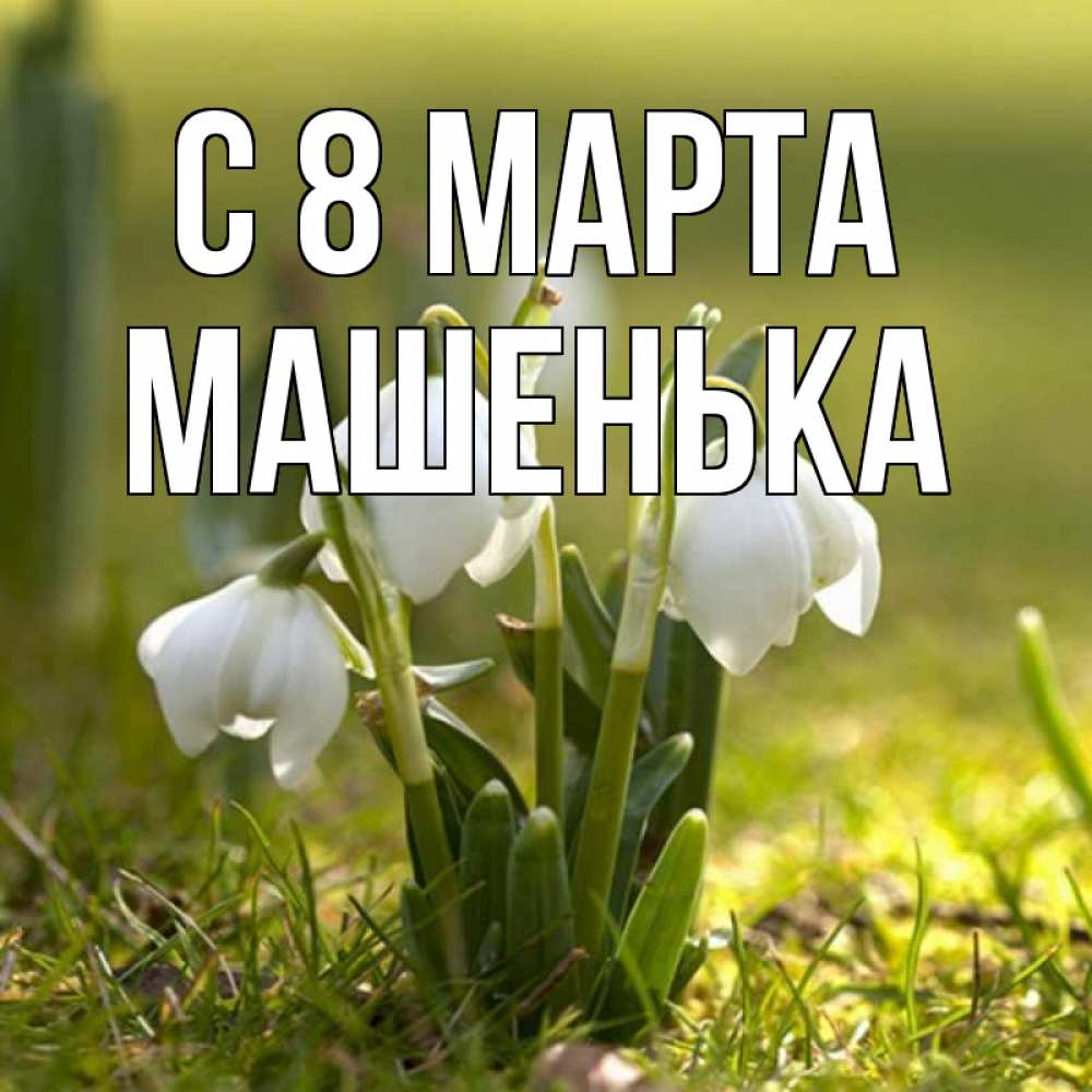Открытка на каждый день с именем, Машенька С 8 МАРТА ранние цветы 2 Прикольная открытка с пожеланием онлайн скачать бесплатно 