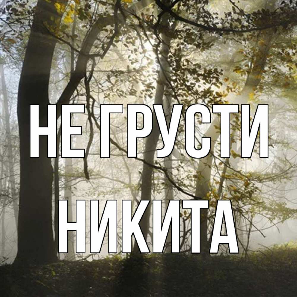 Открытка на каждый день с именем, Никита Не грусти лес и свет Прикольная открытка с пожеланием онлайн скачать бесплатно 